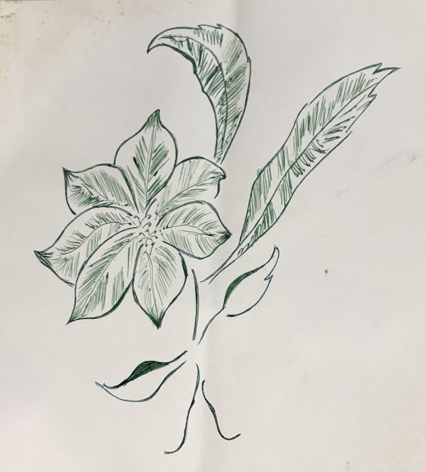 Untitled 6