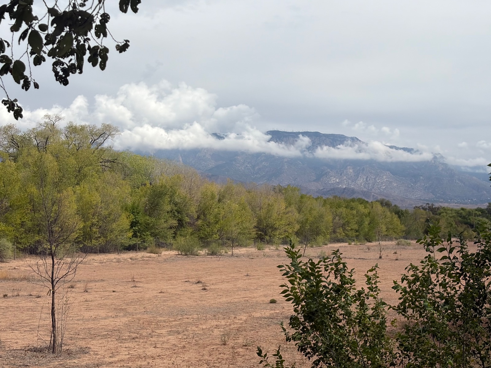 Wagner’s Farm Corrales in just outside of Albuquerque neatly tucked in at the base of the Cibola National Forest and on the west side of the Sandia and Cedar Crests of the Sandia Mountains.  The drive alone is worth the trip for the scenery.