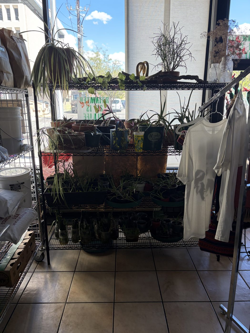 Shelving stacked with potted plants in front of a storefront window, with a rack of clothing to one side.