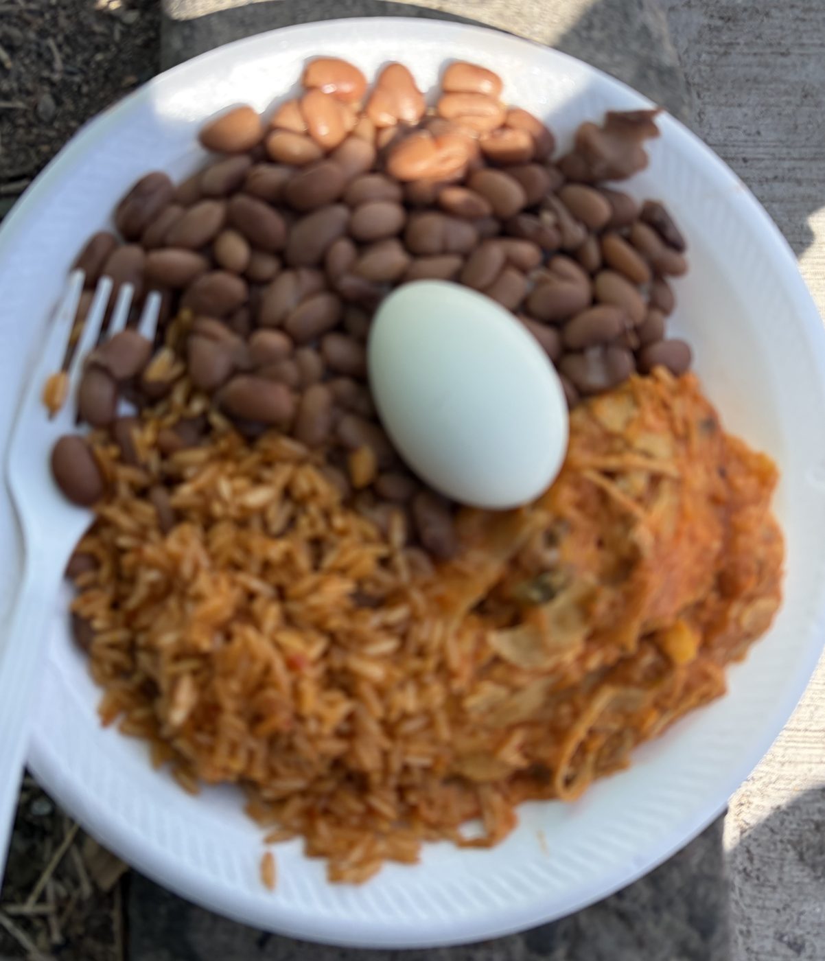 A paper plate holding pinto beans, seasoned rice and a whole boiled egg.