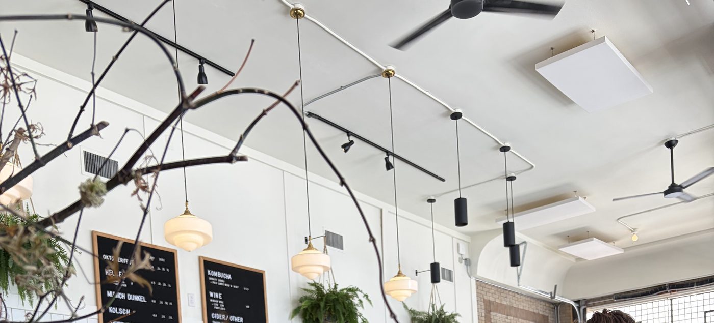 Bare branches arranged as a sculpture below the ceiling, ferns hanging beside the beer letterboards.